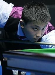 类似枸哥这 类似枸哥这